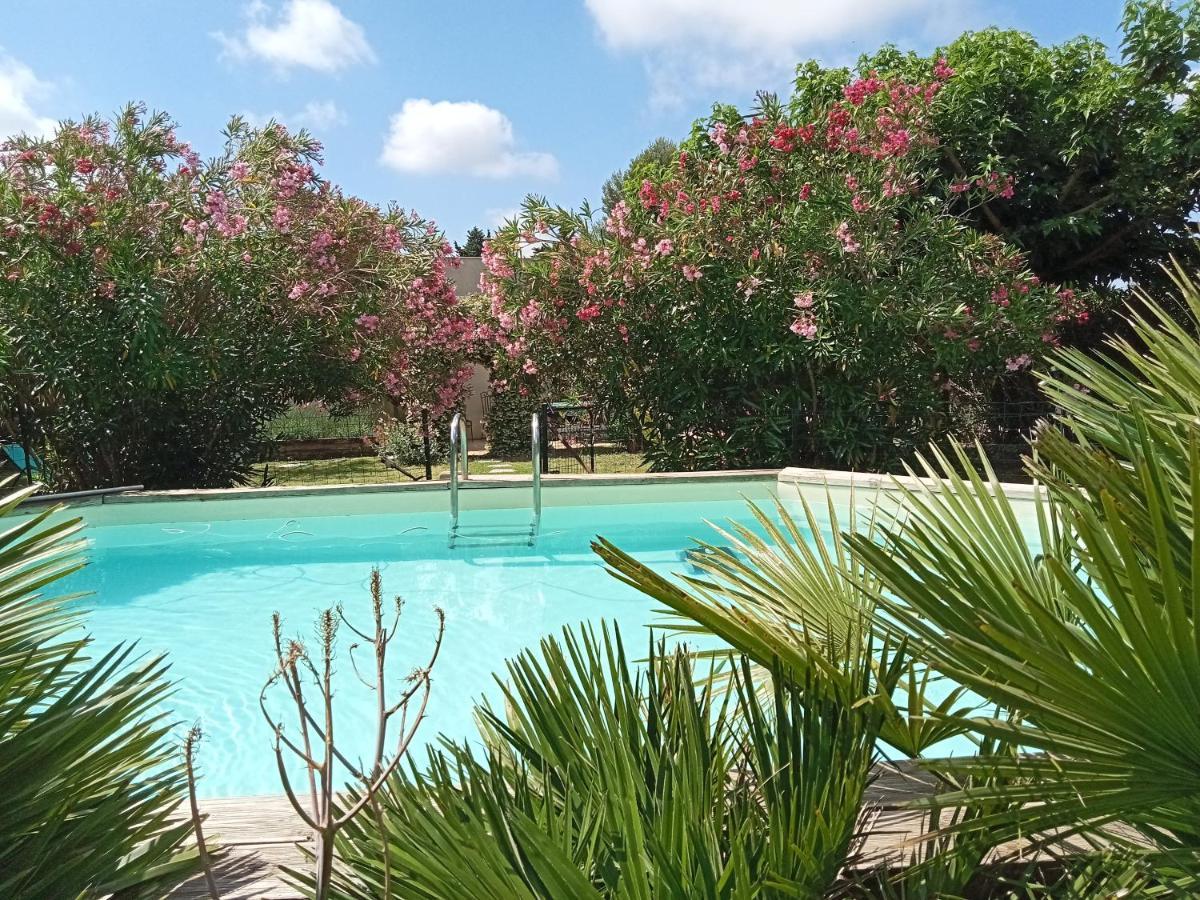 Cosy En Provence Villa Maillane Kültér fotó